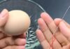 The Ultimate Egg Hack: Piercing the Shell for Perfect Results.