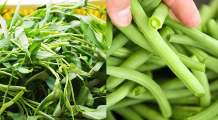 The Secret to Stir-Frying Veggies: How to Keep Them Vibrant, Delicious, and Nutritious