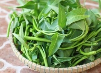 The Ultimate Guide to Stir-Frying Water Spinach: How to Keep it Vibrantly Green and Deliciously Crispy
