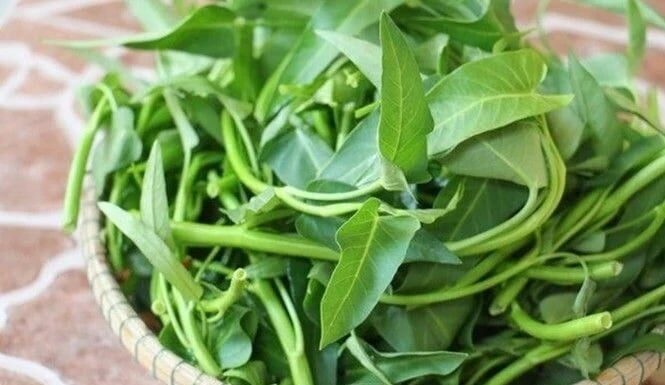 The Ultimate Guide to Stir-Frying Water Spinach: How to Keep it Vibrantly Green and Deliciously Crispy