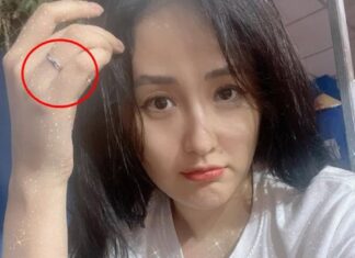 The Rumored Wedding of Miss Mai Phương Thúy: A Fairytale in the Making?