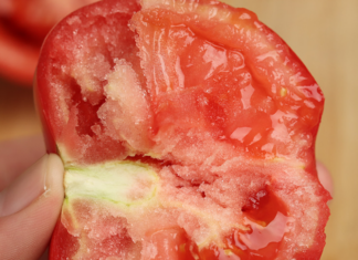 The Ultimate Guide to Choosing the Perfect Tomato: Beyond the Red Hue, Discover the Secrets to Sandiness, Sweetness, and Juiciness.