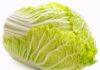 The Great Cabbage Conundrum: Unveiling the Delicious Truth about Choosing the Perfect Veggie