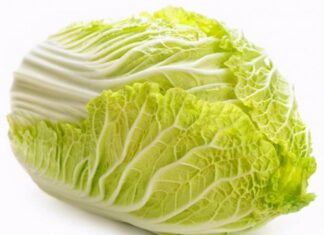 The Great Cabbage Conundrum: Unveiling the Delicious Truth about Choosing the Perfect Veggie