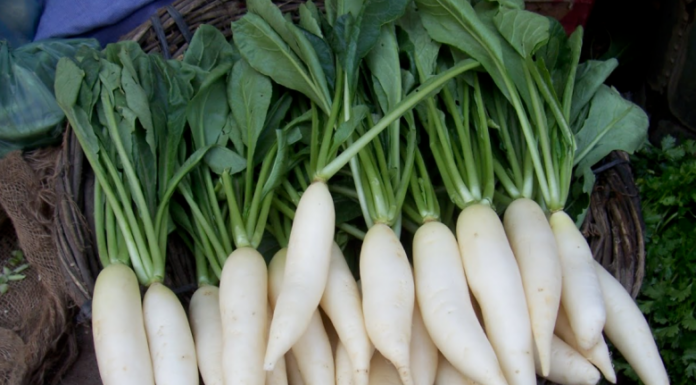 The Ultimate Guide to Buying Beetroots: Smooth or Knobby, We’ve Got You Covered!