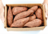 The Ultimate Guide to Storing Sweet Potatoes: 4 Ways to Keep Them Fresh and Sprout-Free for Months
