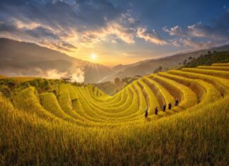 Where to Go, What to Eat in the Northwest Highlands: Unveiling the Charms of Summer!