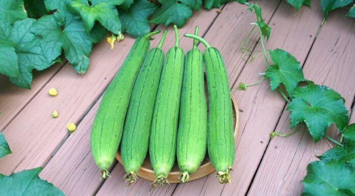 “The Great Cucumber Conundrum: Unveiling the Tasty Truth About Color”