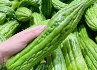 The Ultimate Guide to Choosing Bitter Gourds: Mastering the Art of Selecting the Perfect Bitter Melon