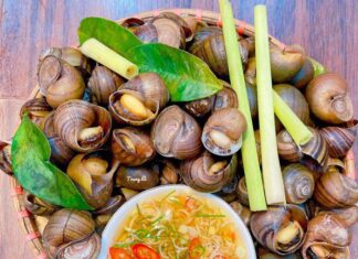 The Secret to Perfectly Clean and Delicious Escargot: Don’t Boil Them, Soak Them!