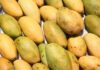 The Secret to Choosing the Perfect Mango: Ignore Size, Focus on These 4 Tell-Tale Signs for Succulent Flesh and Thin Seeds.