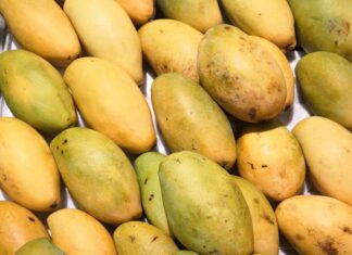 The Secret to Choosing the Perfect Mango: Ignore Size, Focus on These 4 Tell-Tale Signs for Succulent Flesh and Thin Seeds.