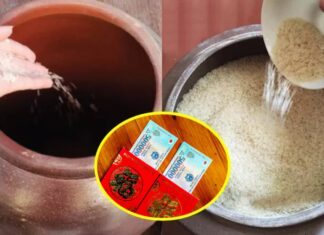 The Power of Rice: Unveiling the Ancient Secret for Fortune and Prosperity