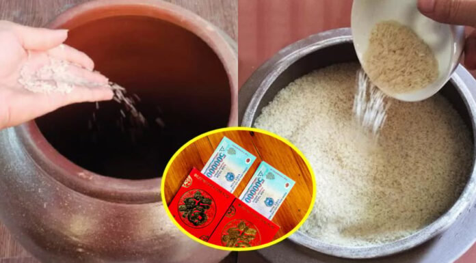 The Power of Rice: Unveiling the Ancient Secret for Fortune and Prosperity
