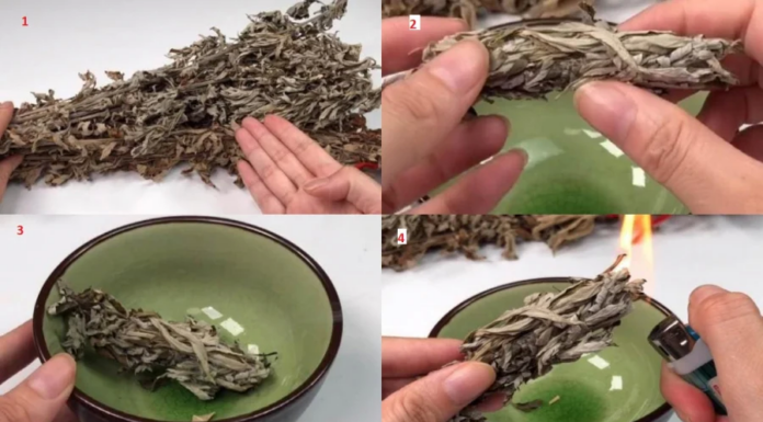 The Magic Leaf: A Natural Repellent for a Peaceful Slumber