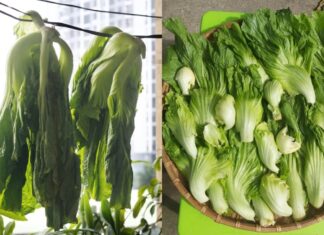 “The Ultimate Quick Pickle Recipe: Golden Crunch in Just 48 Hours”