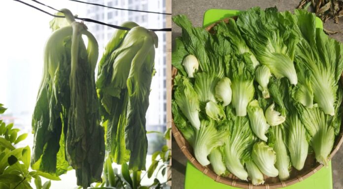 “The Ultimate Quick Pickle Recipe: Golden Crunch in Just 48 Hours”