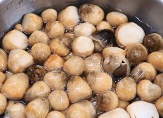 “A Hearty Vegan Treat: Stir-fried Oyster Mushrooms with Beans.”