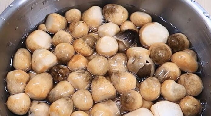 “A Hearty Vegan Treat: Stir-fried Oyster Mushrooms with Beans.”