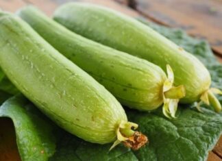The Secret to Cooking Crisp and Tender Loofah: An Extra Step for the Perfect Dish