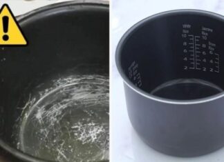 Is It Harmful When the Non-Stick Coating of a Rice Cooker Peels Off?