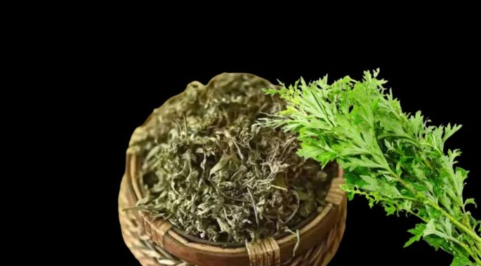 “Sleep Soundly with Feng Shui: The Do’s and Don’ts for a Peaceful Slumber”