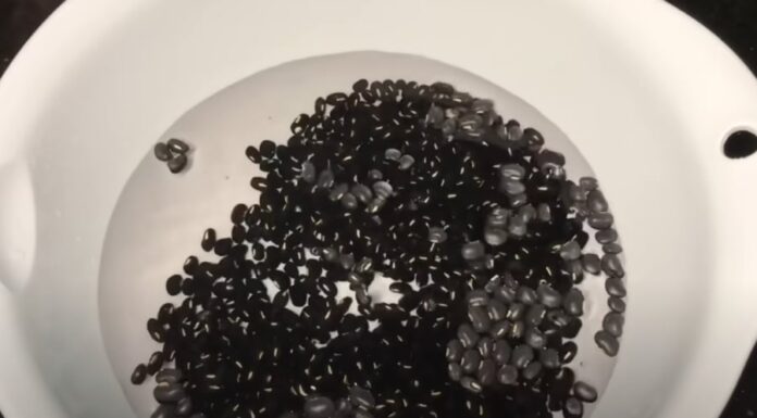 “The Secret to Unlocking the Power of Black Beans: Soaking, the Essential Step Before Cooking”