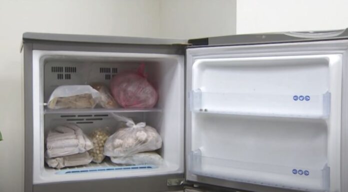 Why Don’t Freezers Have Lights?