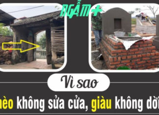 “Old Wisdom, New Perspective: Preserving Legacy Beyond Wealth”