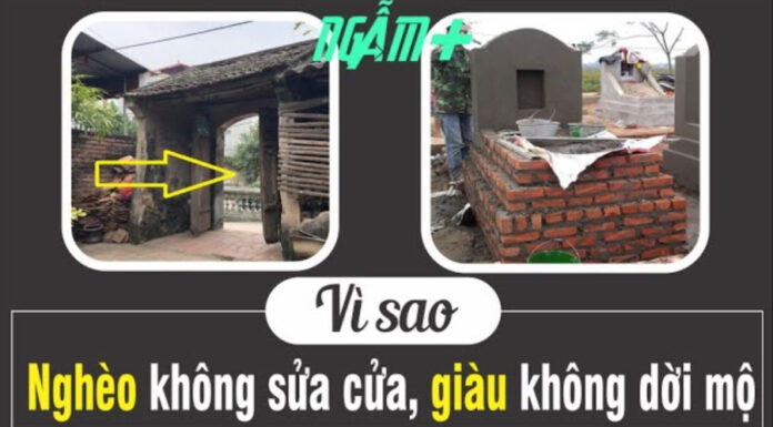 “Old Wisdom, New Perspective: Preserving Legacy Beyond Wealth”