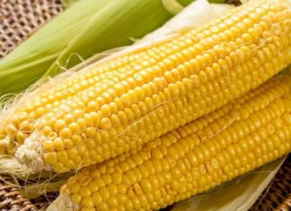 The Ultimate Guide to Storing Corn: Keep It Sweet and Fresh All Year Round