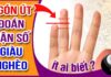 Unlock the Secrets of Your Finger Length: Discover Your Destiny with This Ancient Palmistry Technique