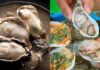 The Delicious Oyster: A Nutritional Powerhouse, But Beware If You Fall Into These Five Categories.