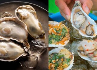 The Delicious Oyster: A Nutritional Powerhouse, But Beware If You Fall Into These Five Categories.