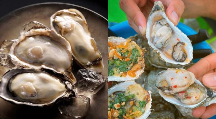 The Delicious Oyster: A Nutritional Powerhouse, But Beware If You Fall Into These Five Categories.