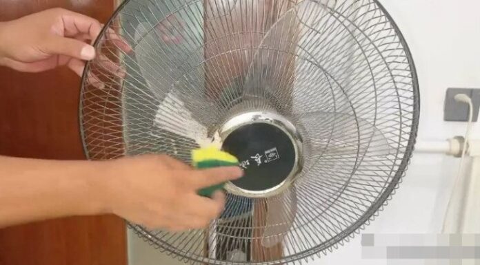 The Smart Way to Beat the Heat: A Quick Fan Fix.