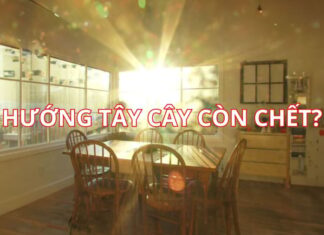 Why Did the Ancients Say: Foolish to Build a House Facing West, and Sillier Still to Buy Land Next to a Temple?