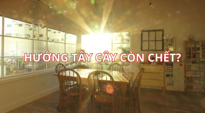 Why Did the Ancients Say: Foolish to Build a House Facing West, and Sillier Still to Buy Land Next to a Temple?