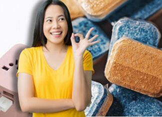 The Ultimate Top 5 Tiny Treasures: A Must-Have for the Wise Woman to Empower Her Family, for a Mere Few Dollars