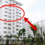 The Perils of Purchasing Property: Why You Should Steer Clear of These Four Floors
