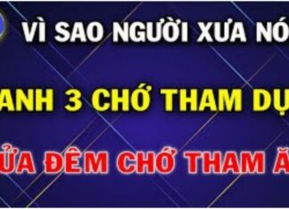 The Ancient’s Warning: Why You Should Heed Their Advice on Midnight Feasts and Late-Night Indulgences