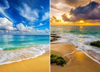 Why is seawater salty but river and lake water isn’t?