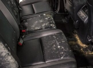 The Ultimate Guide to Eliminating Mold from Your Car, Even if it’s Been Sitting Idle for a Long Time