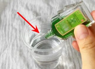 The Magic Potion: Unveiling the Power of Camphor Oil and White Vinegar Blend