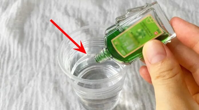 The Magic Potion: Unveiling the Power of Camphor Oil and White Vinegar Blend