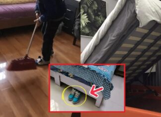 The Bedframe’s Secrets: 3 Things Lurking that Spark Nightly Spats