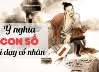 The Ancient’s Wisdom: The Rule of 3 and 7 for a Peaceful Home