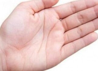 The 5 Curvy Features That Men Adore: A Woman’s Secret to Attracting Wealth and a Devoted Husband