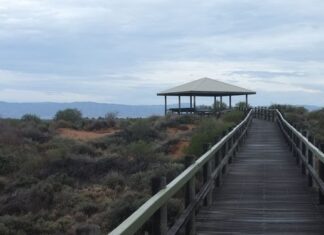 The Most Important Wisdom in Communication is Just 4 Words