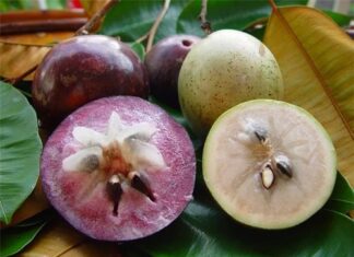 7 Local Fruits Grown in Vietnam, Fresh and Free of Pesticides: A Guilt-Free Buy